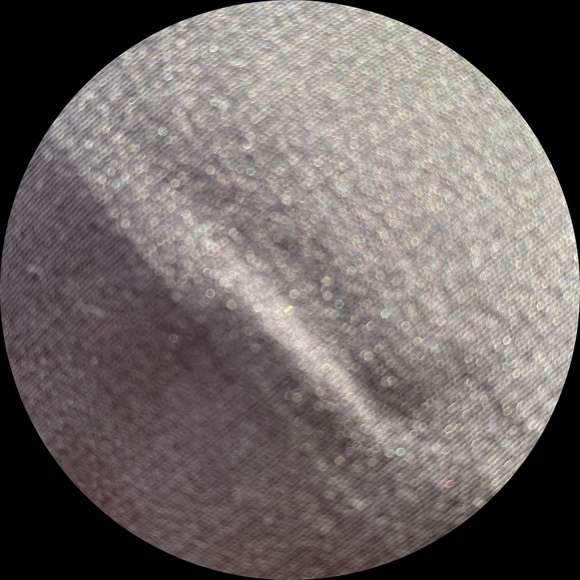 alwu283